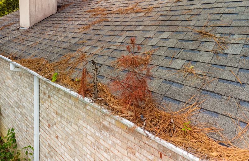 Gutter Pine Needle Removal in Fredericksburg, VA