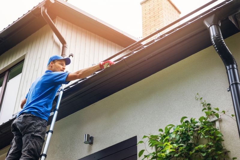 Clogged Gutter Clearing in Annapolis, MD
