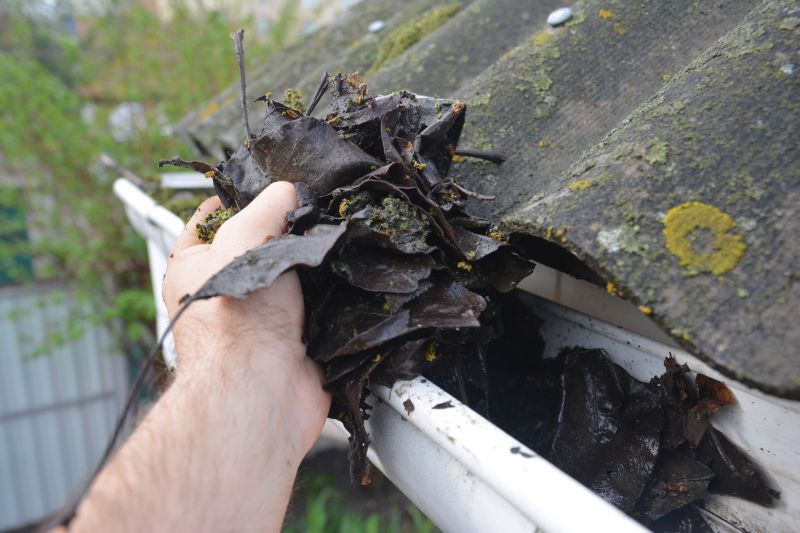 Clogged Gutter Clearing in Monmouth County, NJ