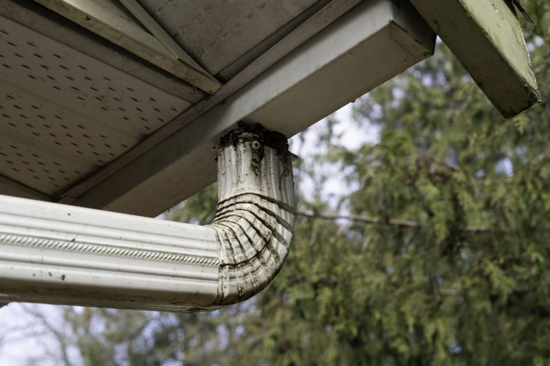 Downspout Blockage Removal in Fredericksburg, VA