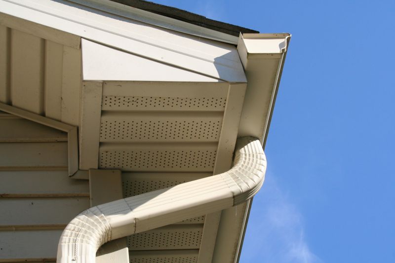 Downspout Cleaning in Bergen County, NJ