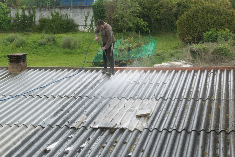 Garage Roof Power Washing in Vancouver, WA