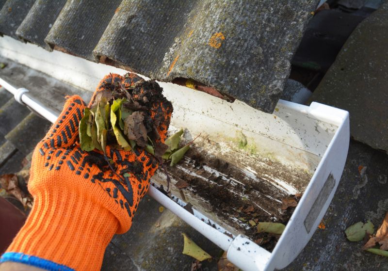 Gutter Cleaning in Westchester County, NY