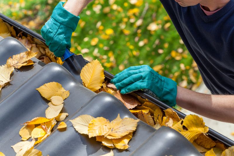 Gutter Leaf Clearing in Boulder, CO