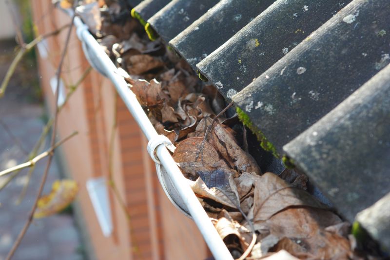 Gutter Leaf Clearing in Rochester, NY