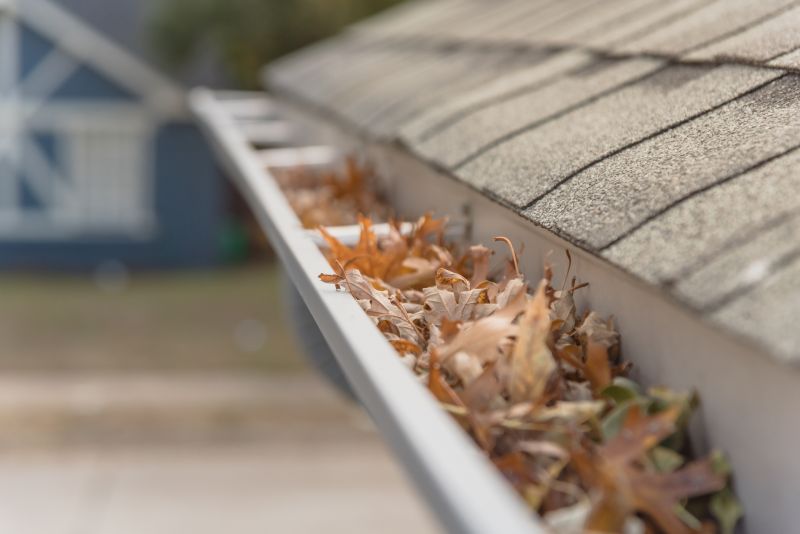 Gutter Leaves Removal in Arvada, CO