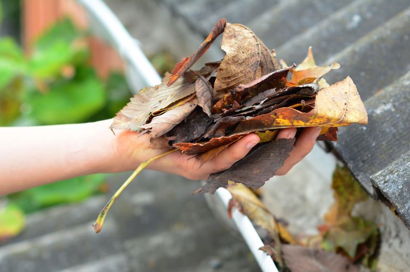 Gutter Leaves Removal in Boulder, CO