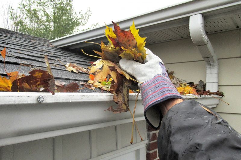 Gutter Pine Needle Removal in Rochester, NY