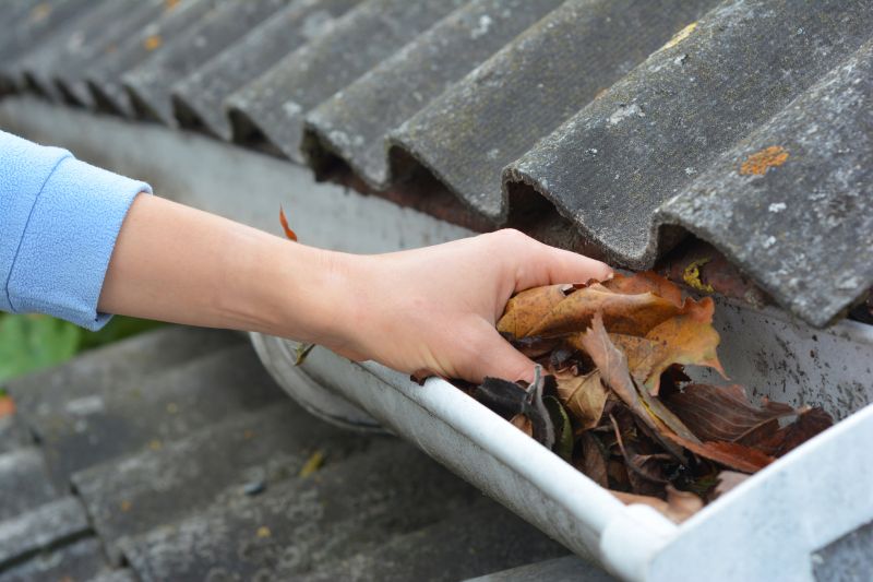 Roof Gutter Cleaning in Pittsburgh, PA