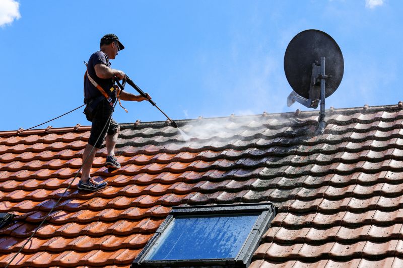 Roof Soft Washing in Vancouver, WA